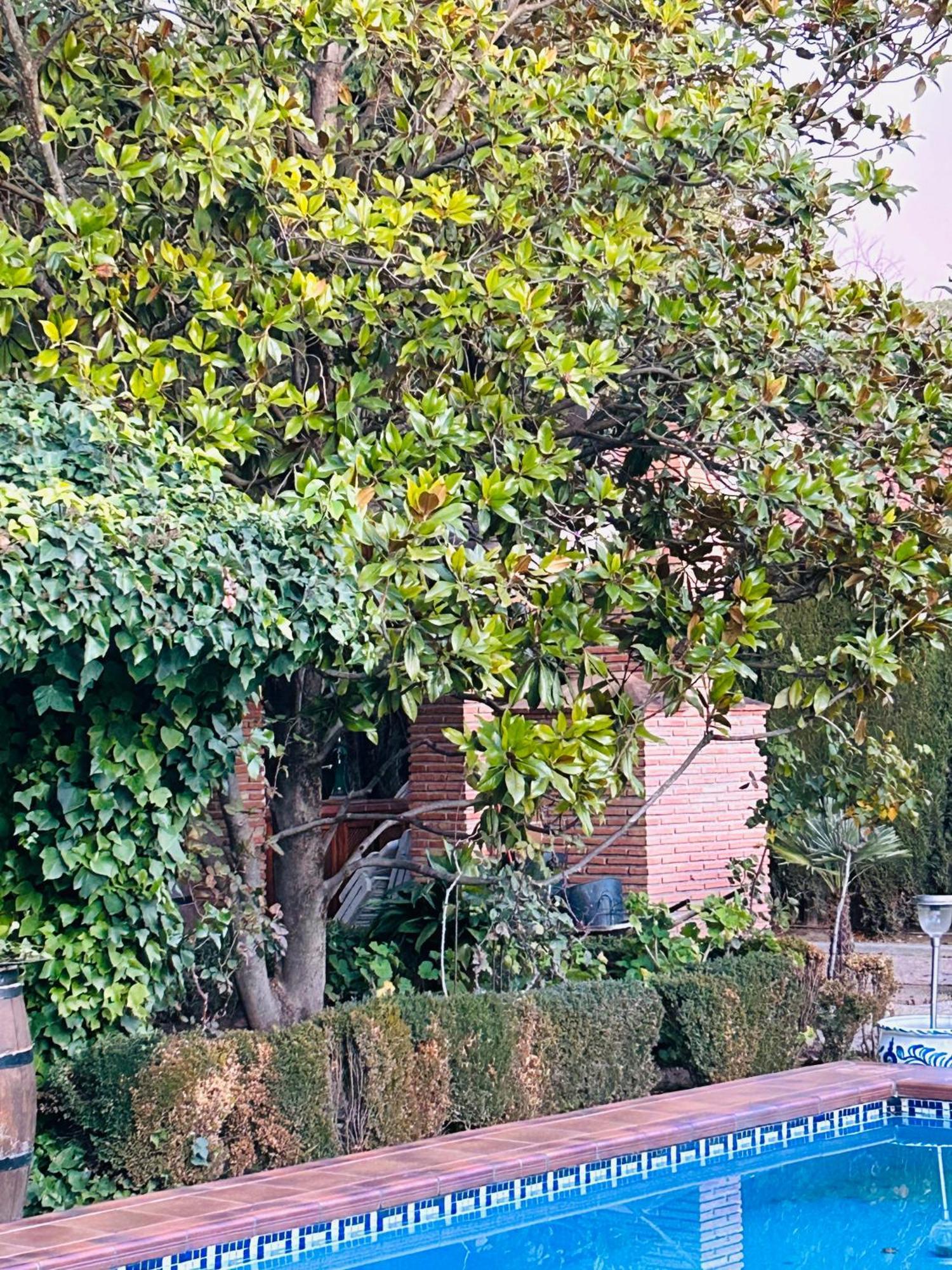 Casa Los Rosales Alfacar Ngoại thất bức ảnh