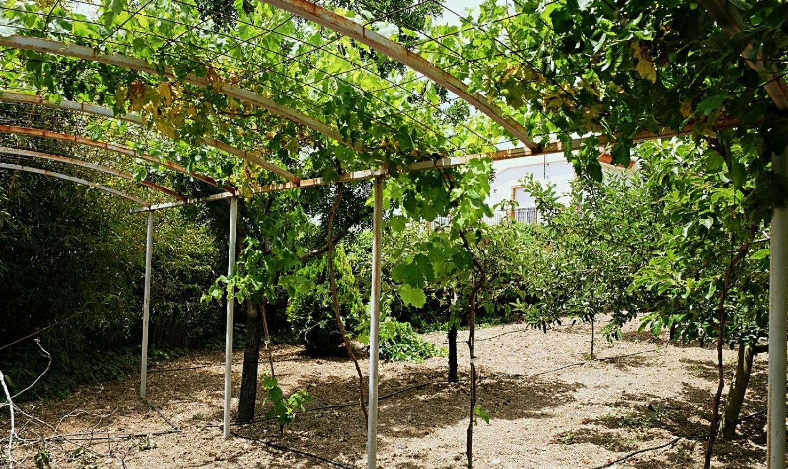 Casa Los Rosales Alfacar Ngoại thất bức ảnh