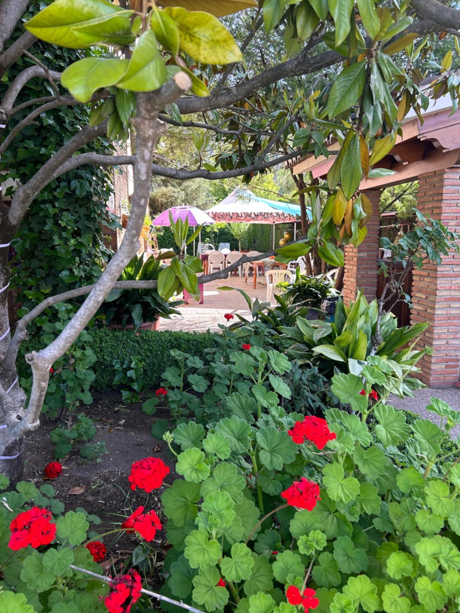 Casa Los Rosales Alfacar Ngoại thất bức ảnh